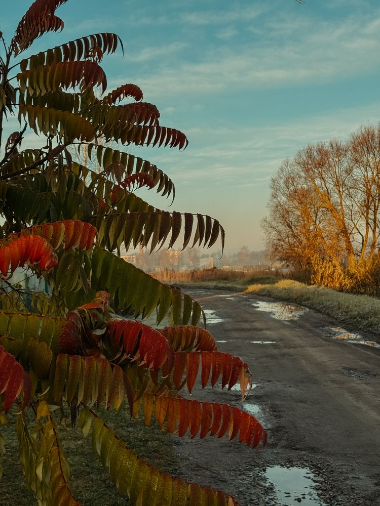 Photograph by Светлана Долганова