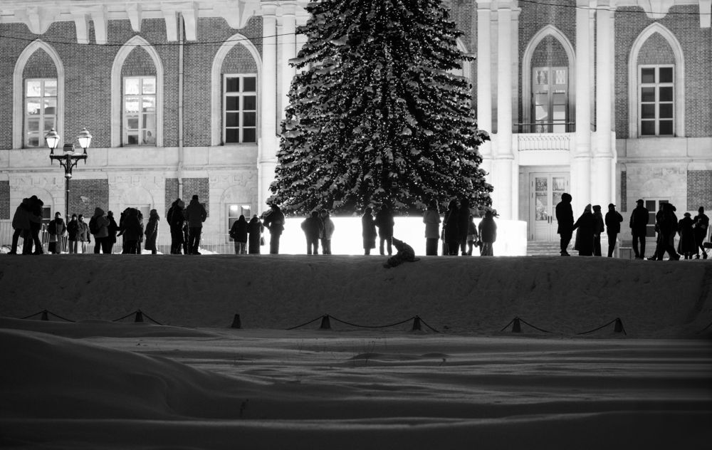 Photograph by Елена Барышева