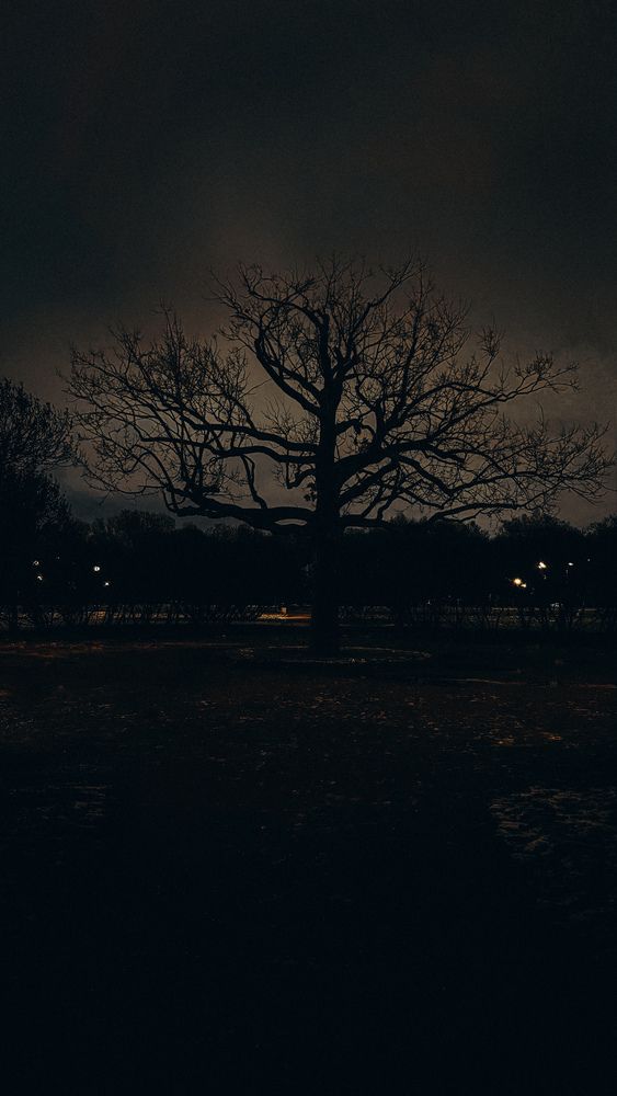 Photograph by Ирина Антипова