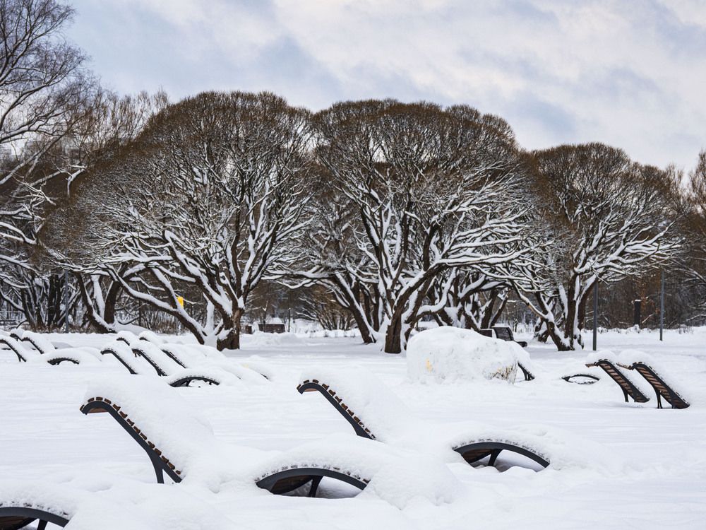 Photograph by Борис Полтавец