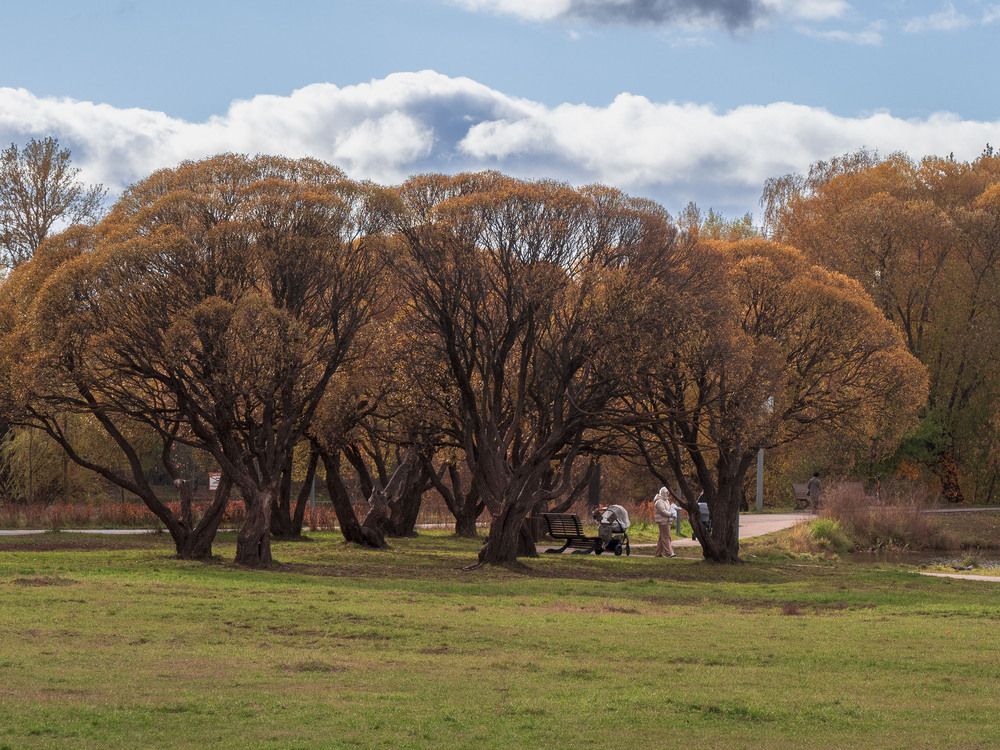 Photograph by Борис Полтавец