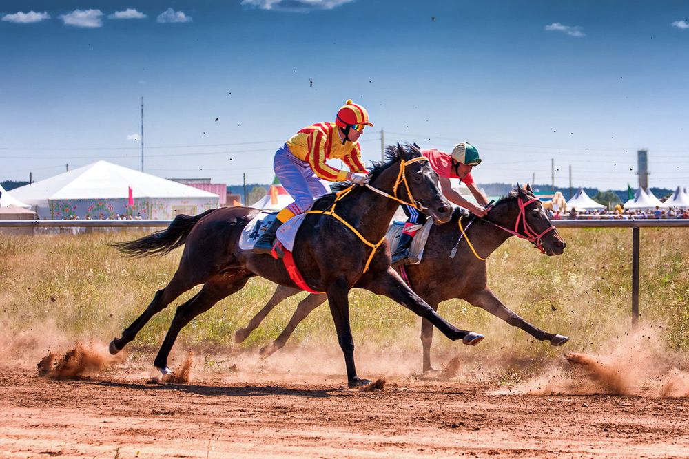 Фотография автора Владимир Чуприков