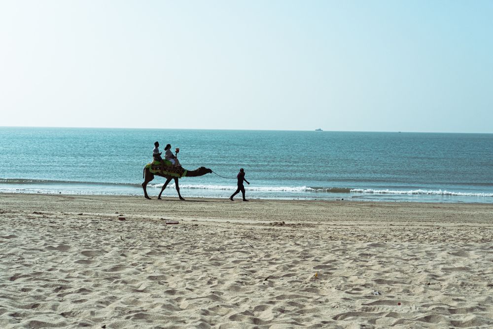 Photograph by Bharat Sonawane