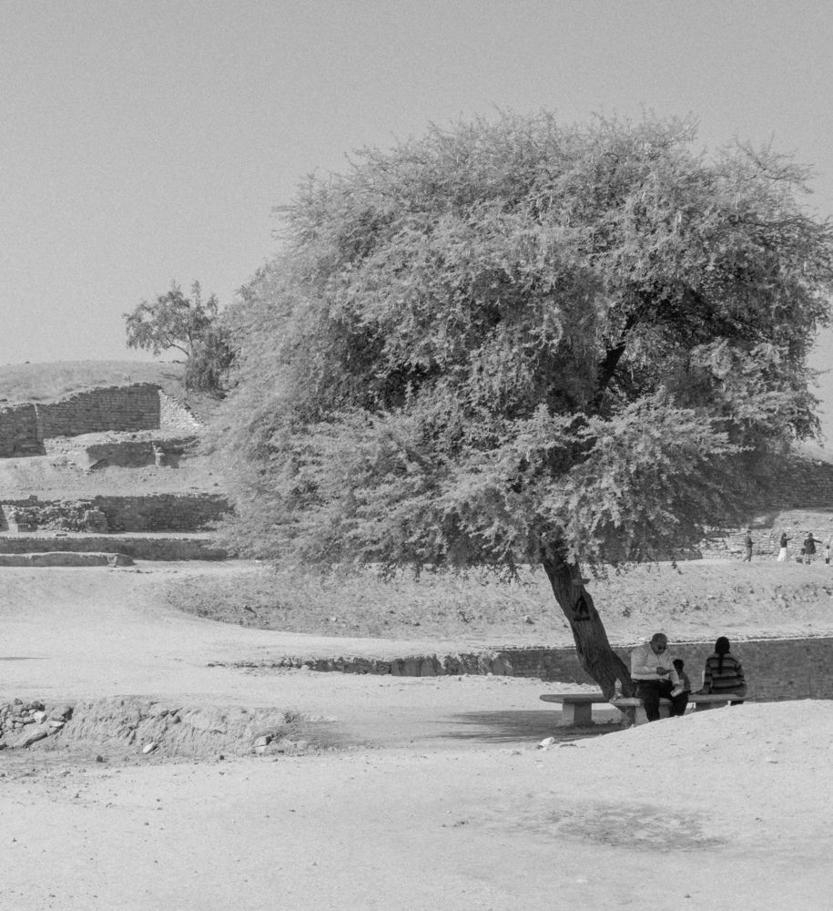 Photograph by Bharat Sonawane