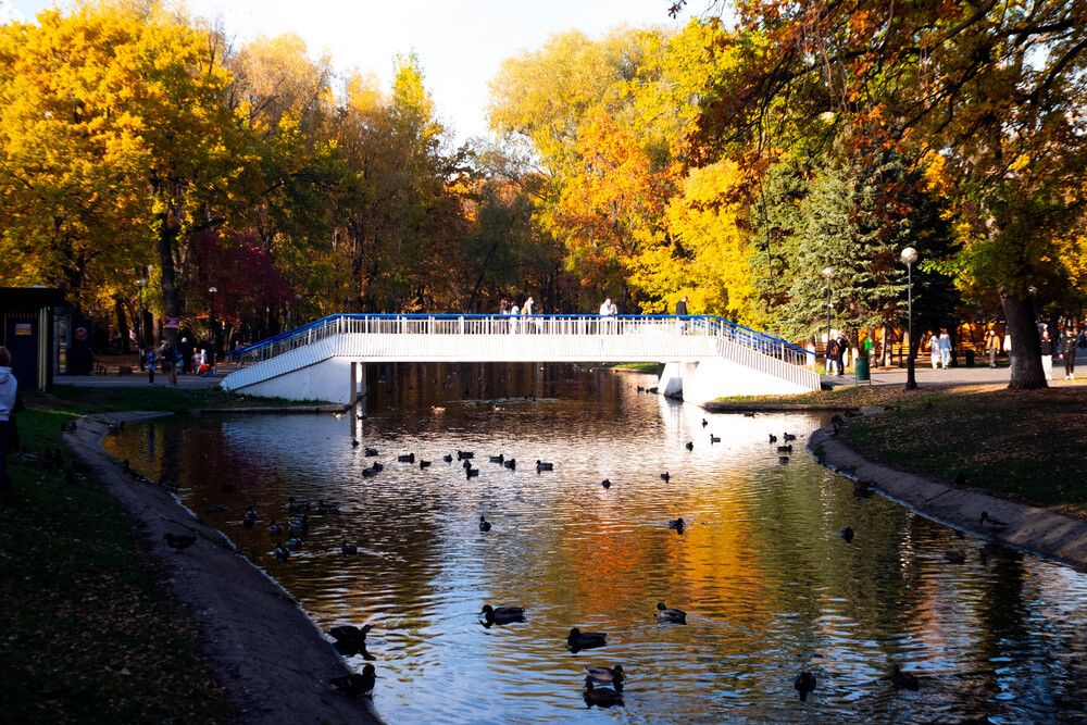 Photograph by Максим Шевченко