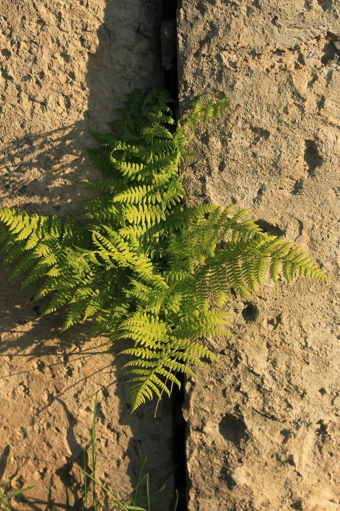 Photograph by Дмитрий Мазурин