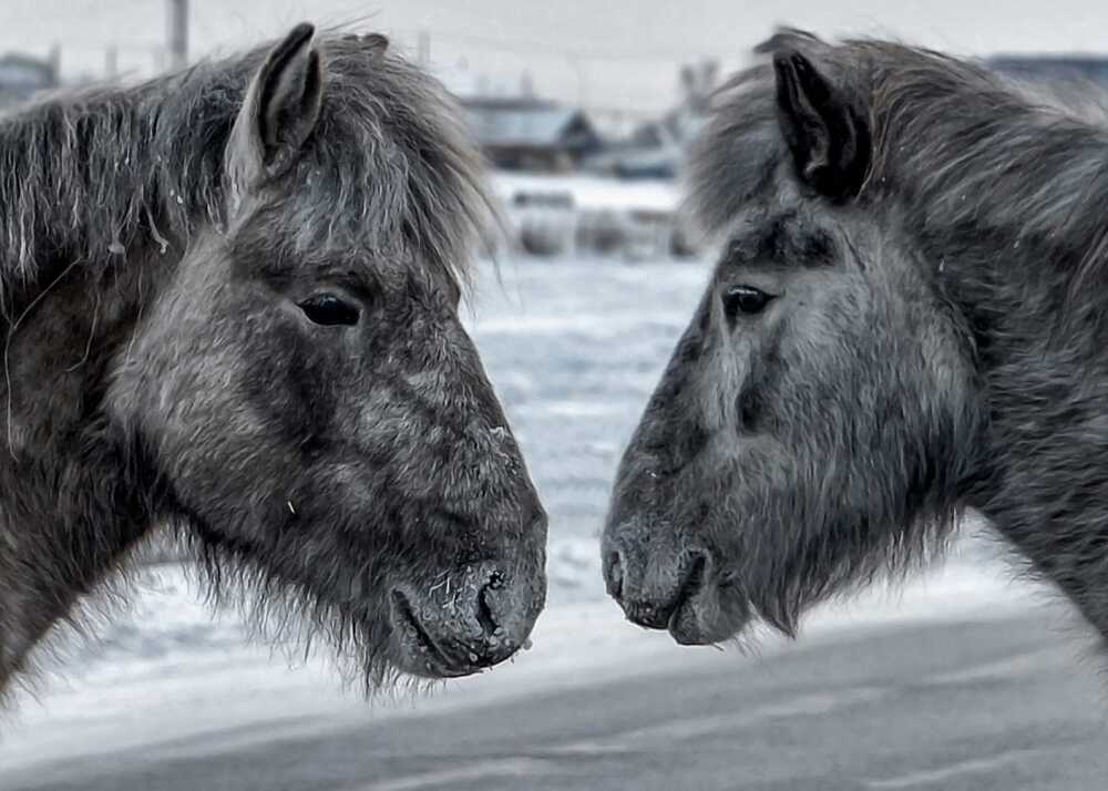 Photograph by Александр Шипиленко