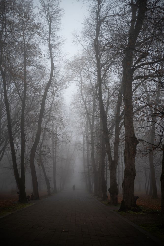 Photograph by Dmitry BESPAMIATNYI