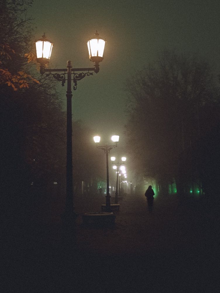 Фотография автора Виктория Ступина