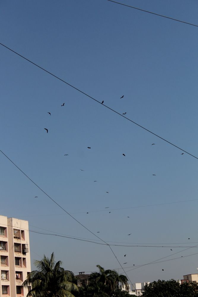Photograph by Ap Mahla