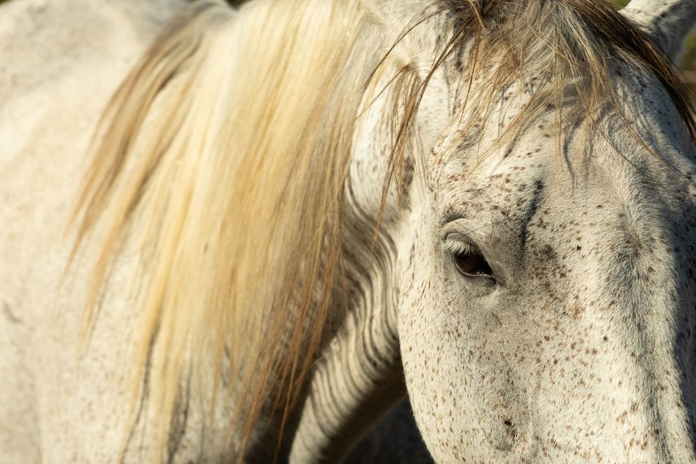 Photograph by Людмила Аксенова