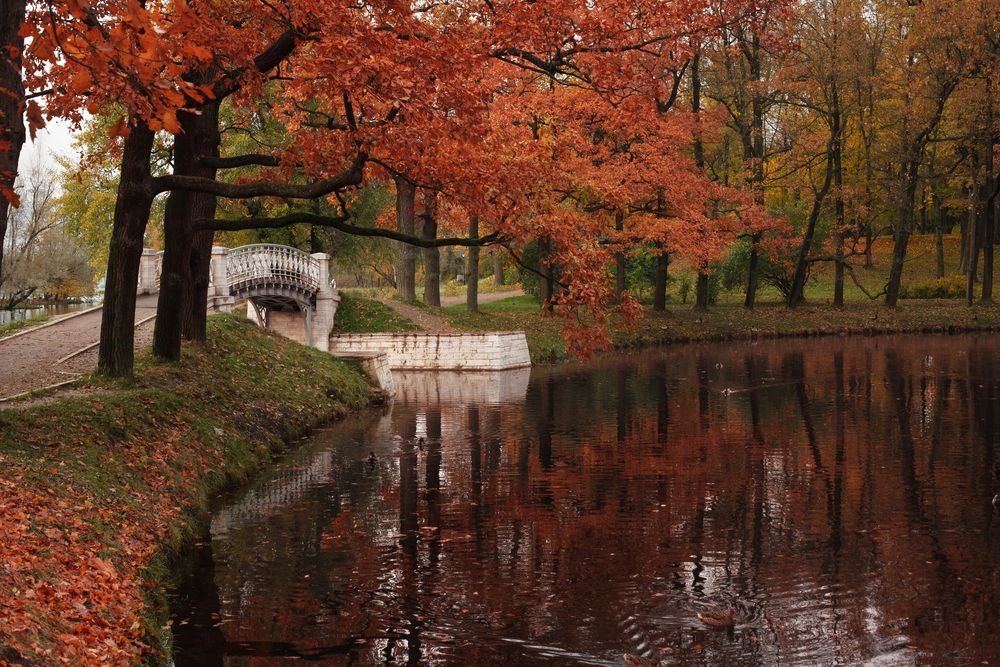 Photograph by Александр Нерозя