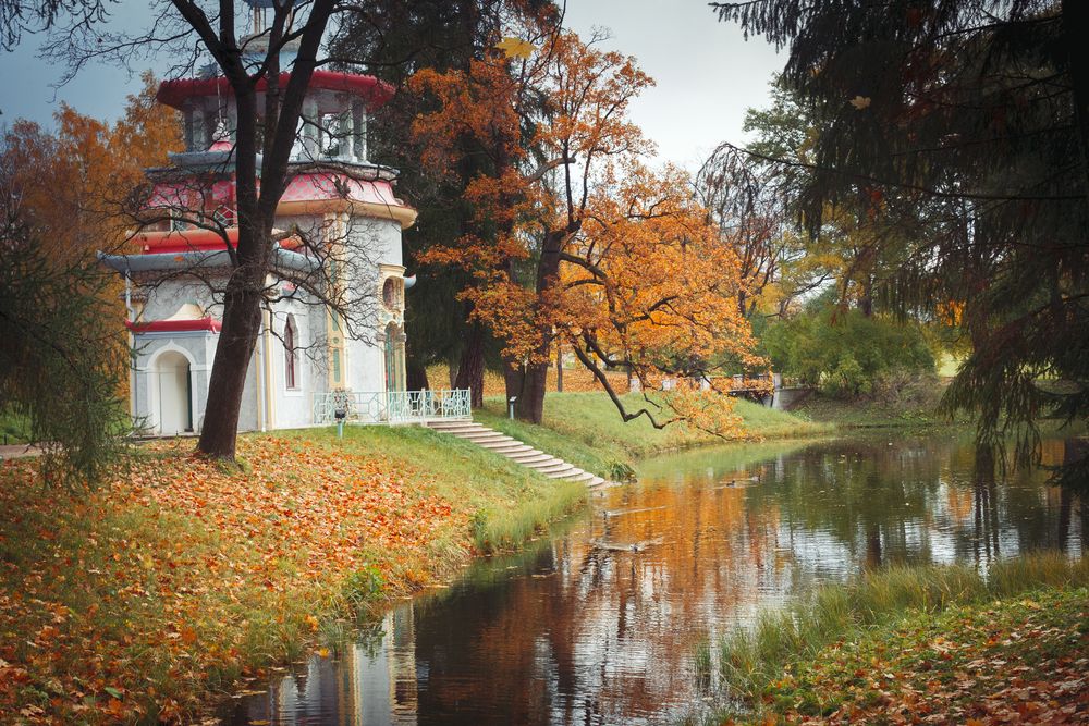 Photograph by Александр Нерозя