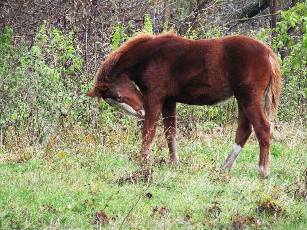 Photograph by Лариса Басова