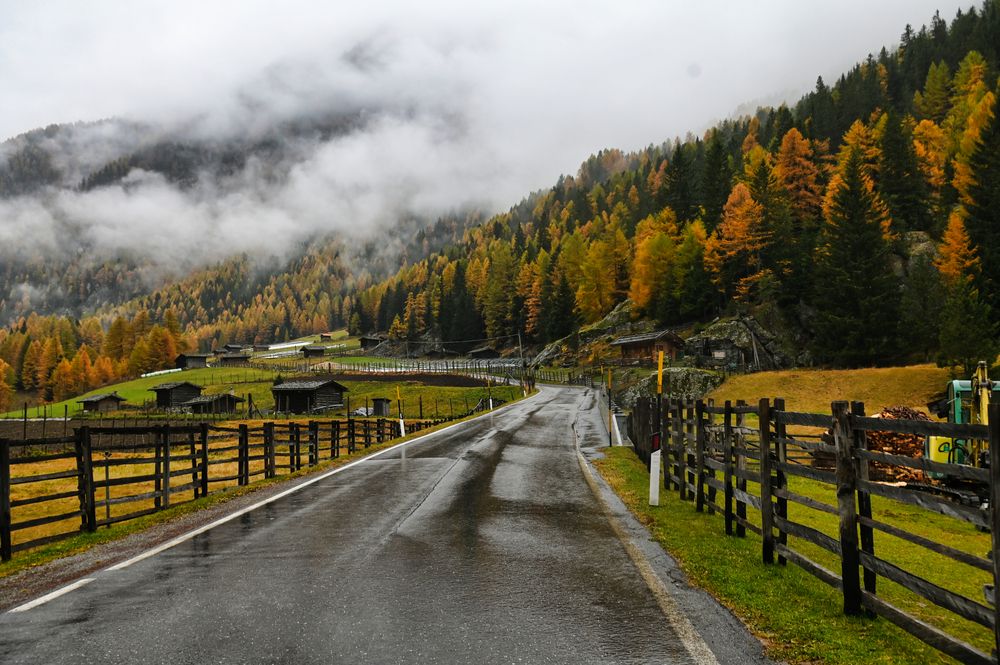 Photograph by Carlo Gulin
