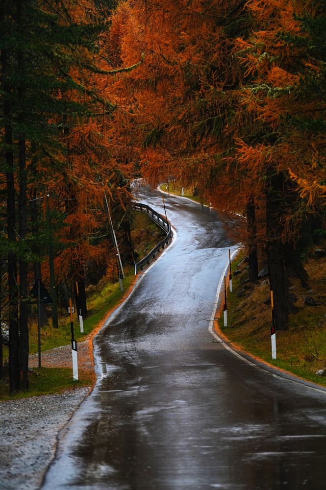 Photograph by Carlo Gulin