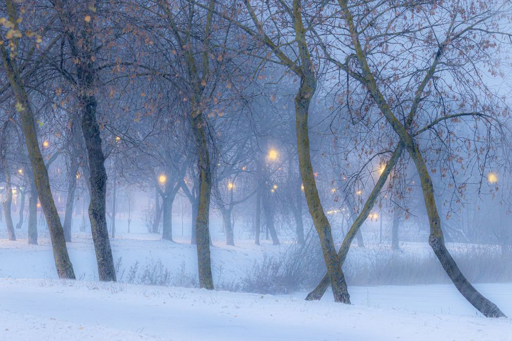 Photograph by Юлия Куликова