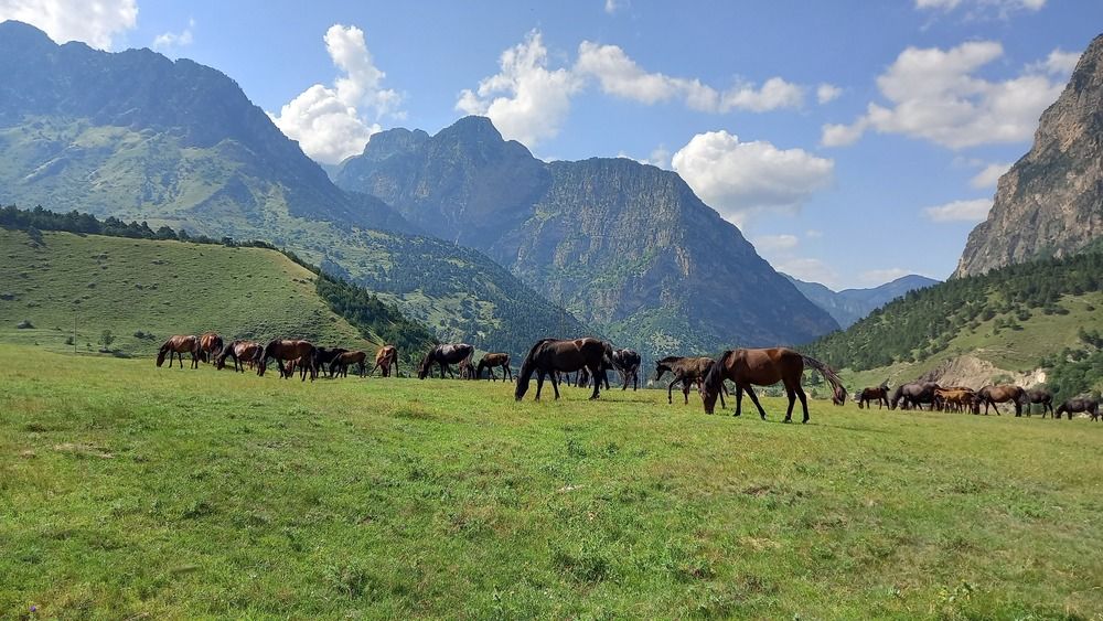 Фотография автора Людмила Ярош
