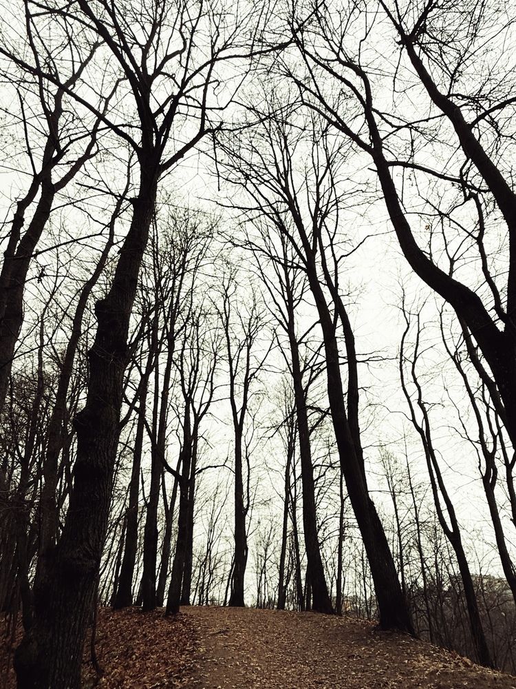 Photograph by Светлана Родионова