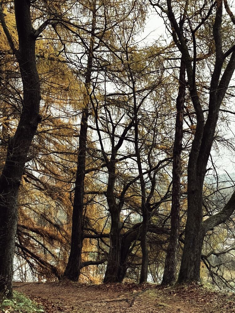 Photograph by Светлана Родионова