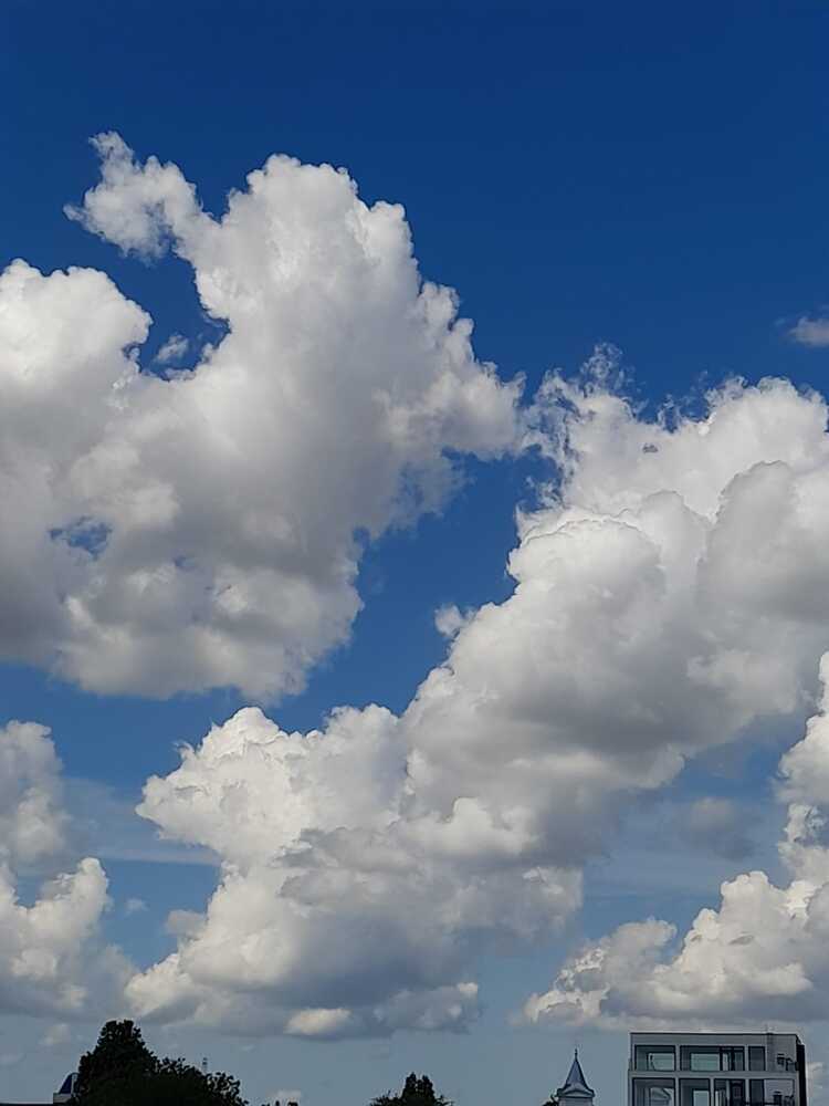 Photograph by Carmen Mihaela Chirila