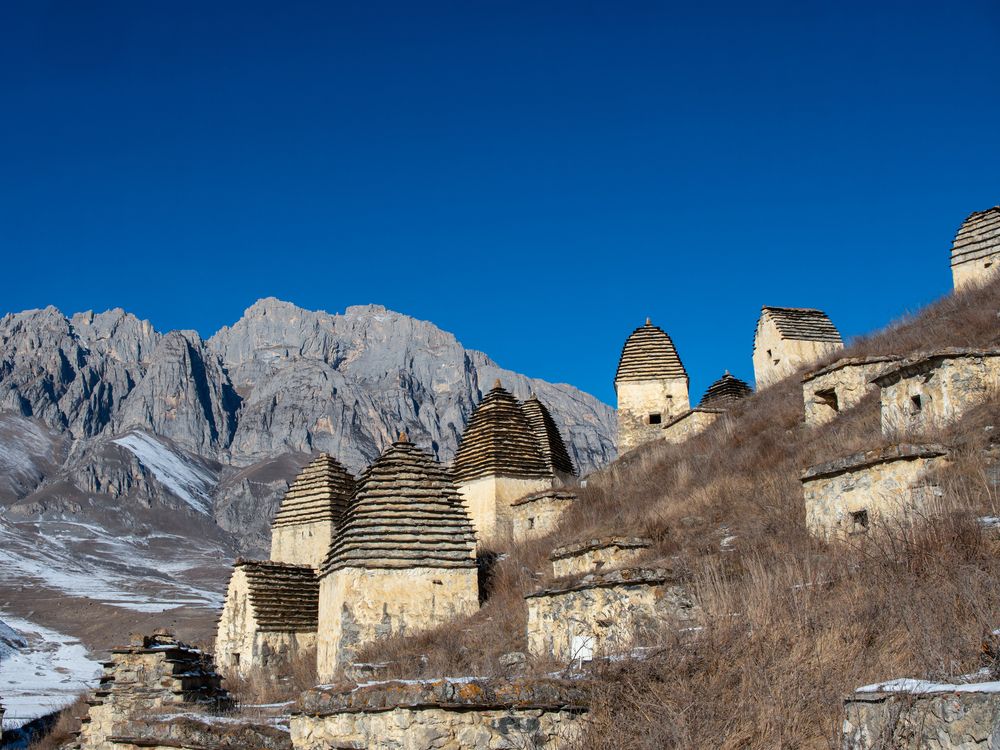 Живое и неживое