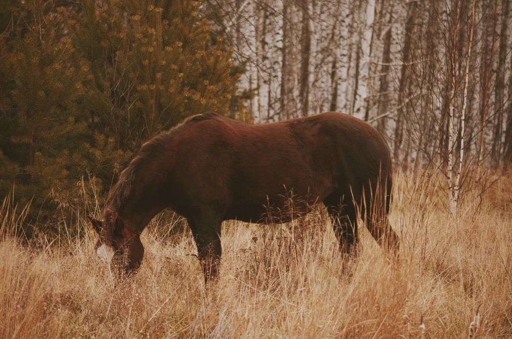 Photograph by Мария Абраменко