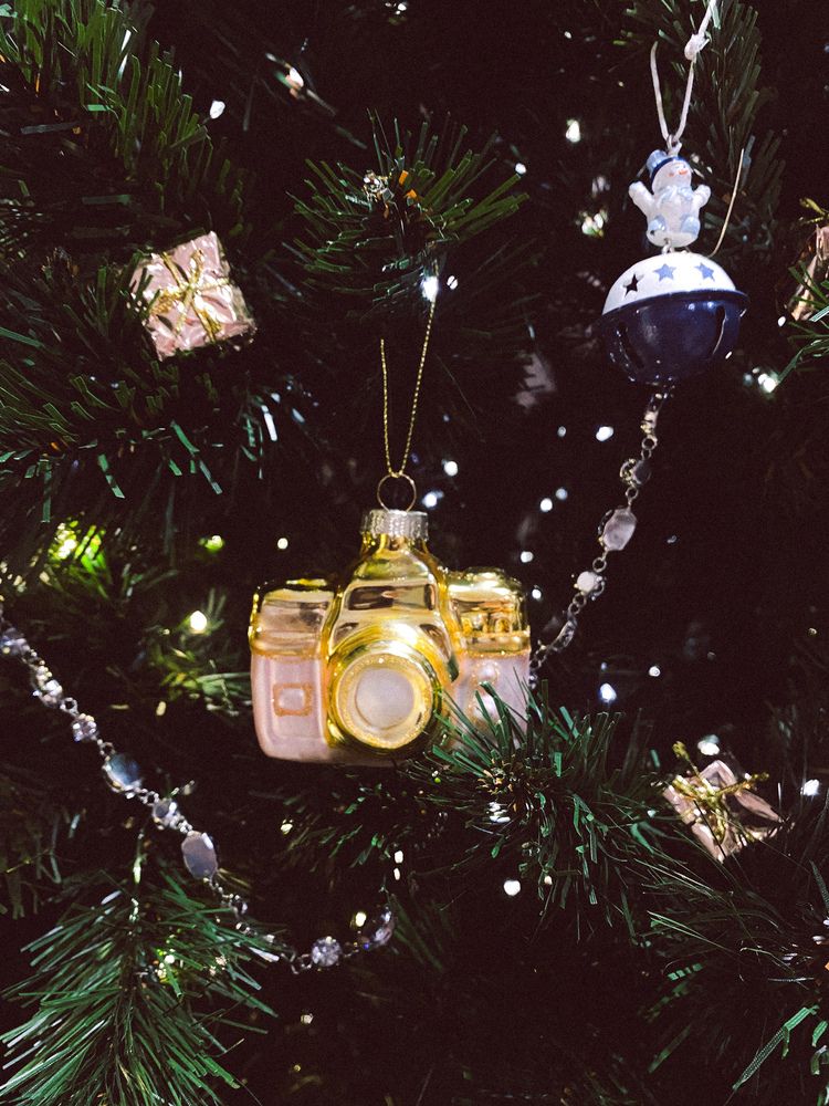 Фотография автора Наталья Мыкольникова