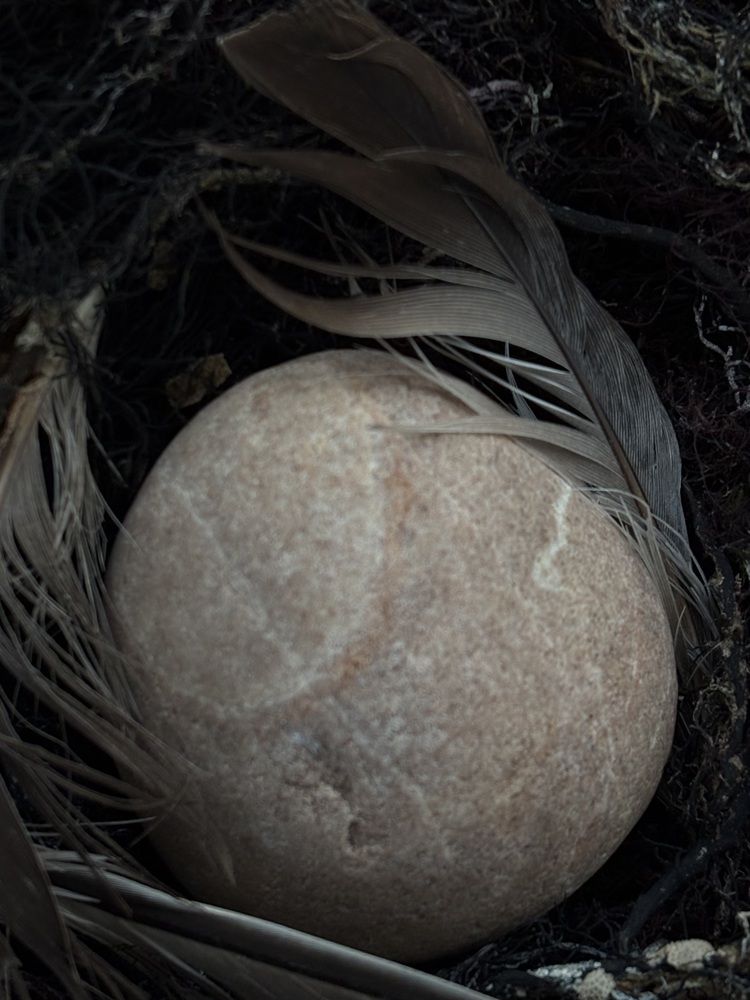 Photograph by Елена Шамраева