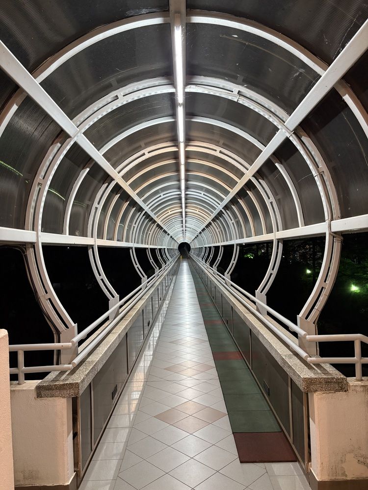 Photograph by Елена Шамраева