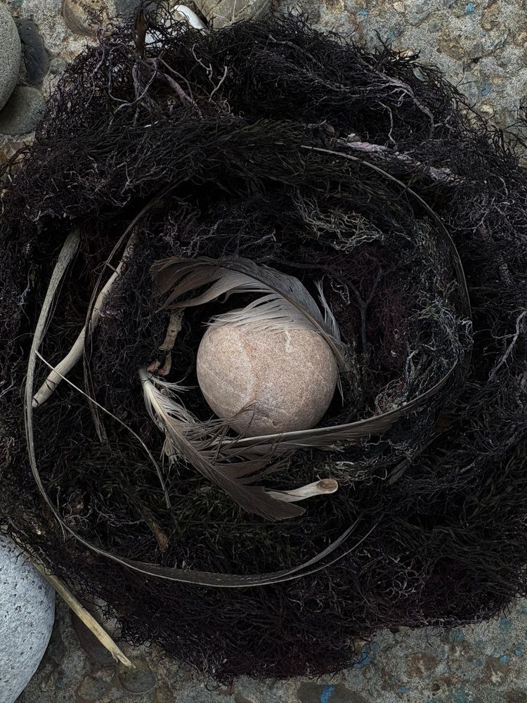 Photograph by Елена Шамраева