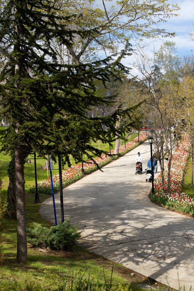 Фотография автора Татьяна Васильева