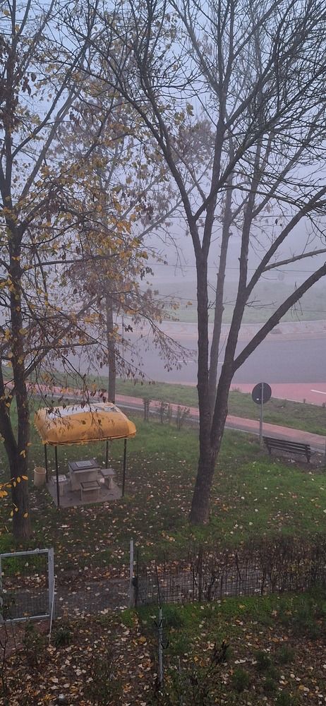 Photograph by Carmen Mihaela Chirila