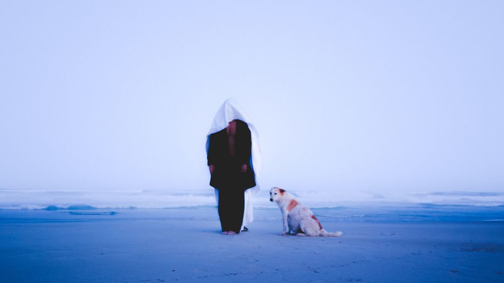 Фотография автора Mahmoud Asaad