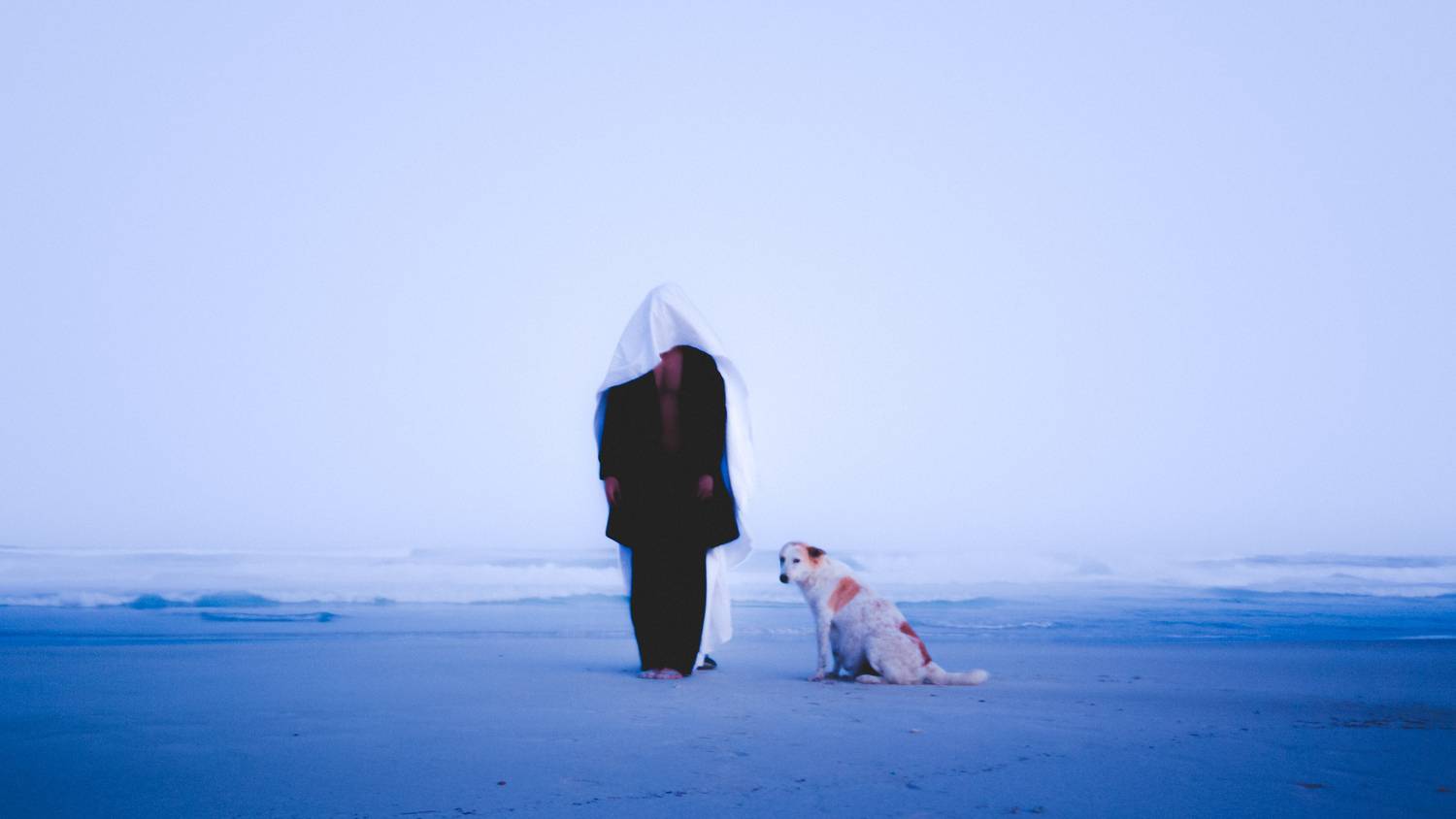 Фотография #13048915