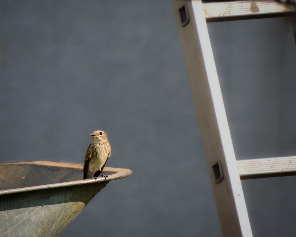 Photograph by Владислав Коростелев