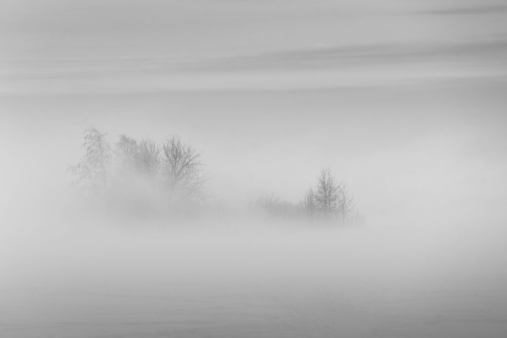 Фотография автора Максим Вышарь