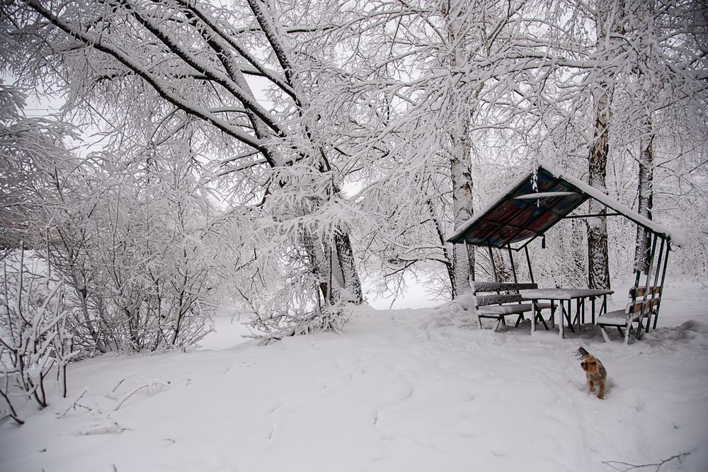 Фотография автора Ирина Яук