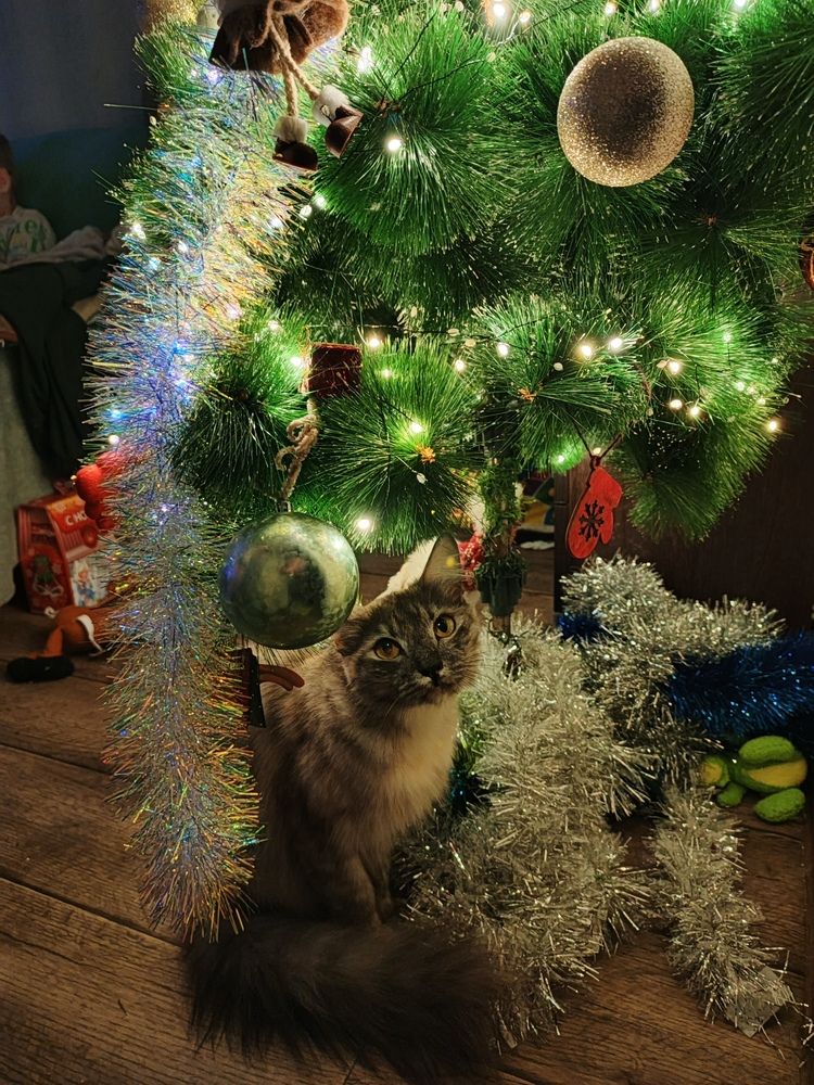 Photograph by Алина Азева