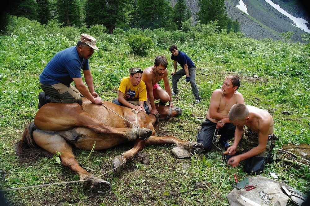Photograph by Дмитрий Ткаченко