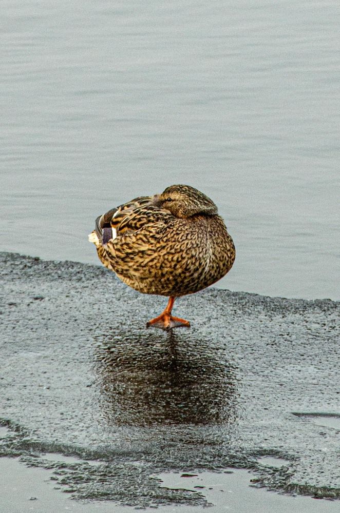 Photograph by Юрий