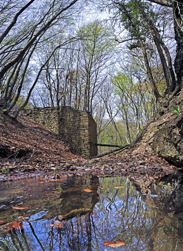 Photograph by Евгений Самулев