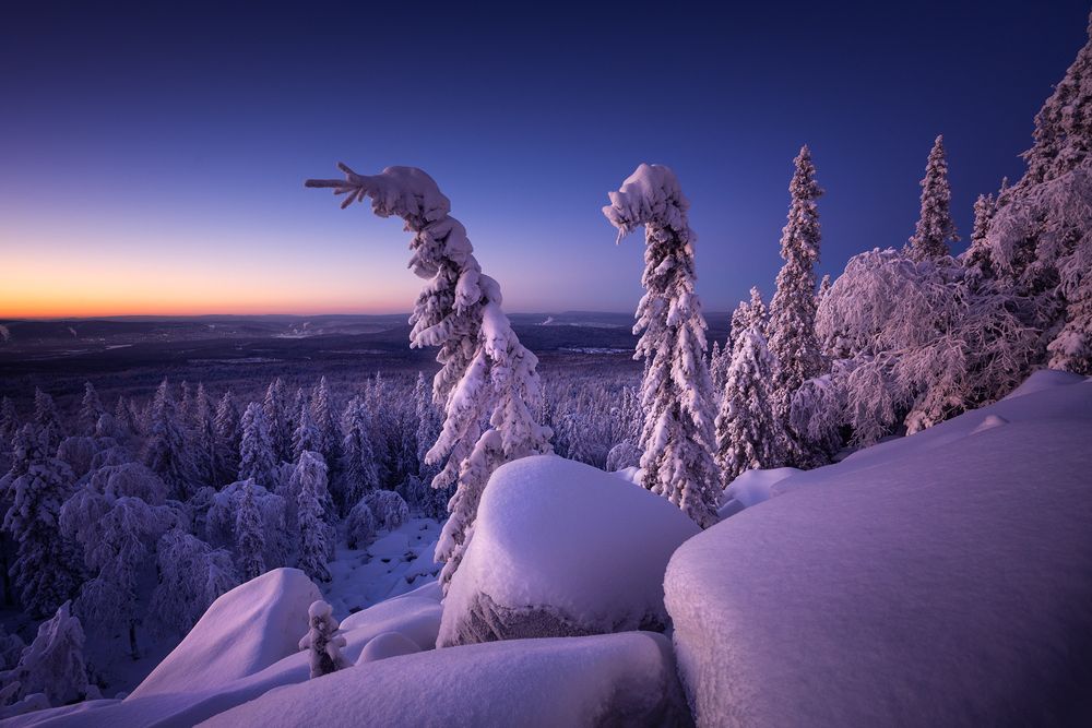 Photograph by Татьяна Бирюкова