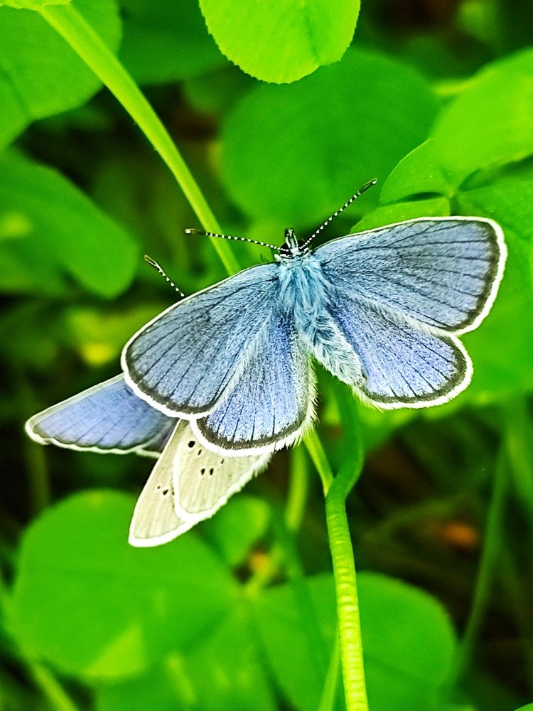 Photograph by Нина Кольман