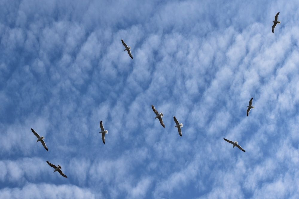 Photograph by Нина Кольман