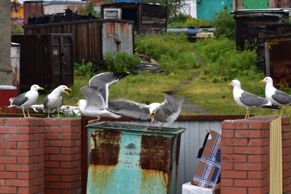 Photograph by Нина Кольман