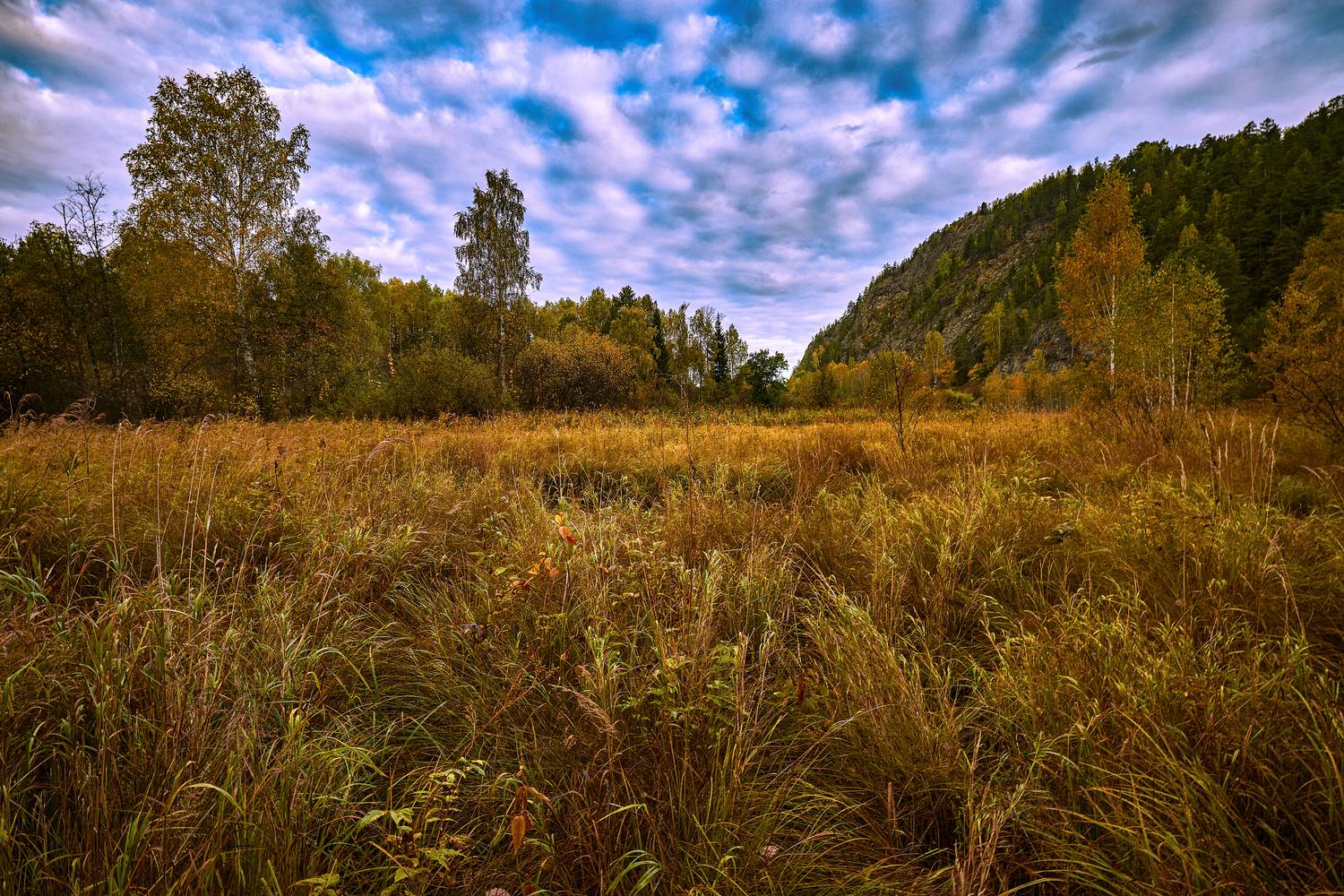 Жёлтое утро сентября. Жёлтое утро сентября.