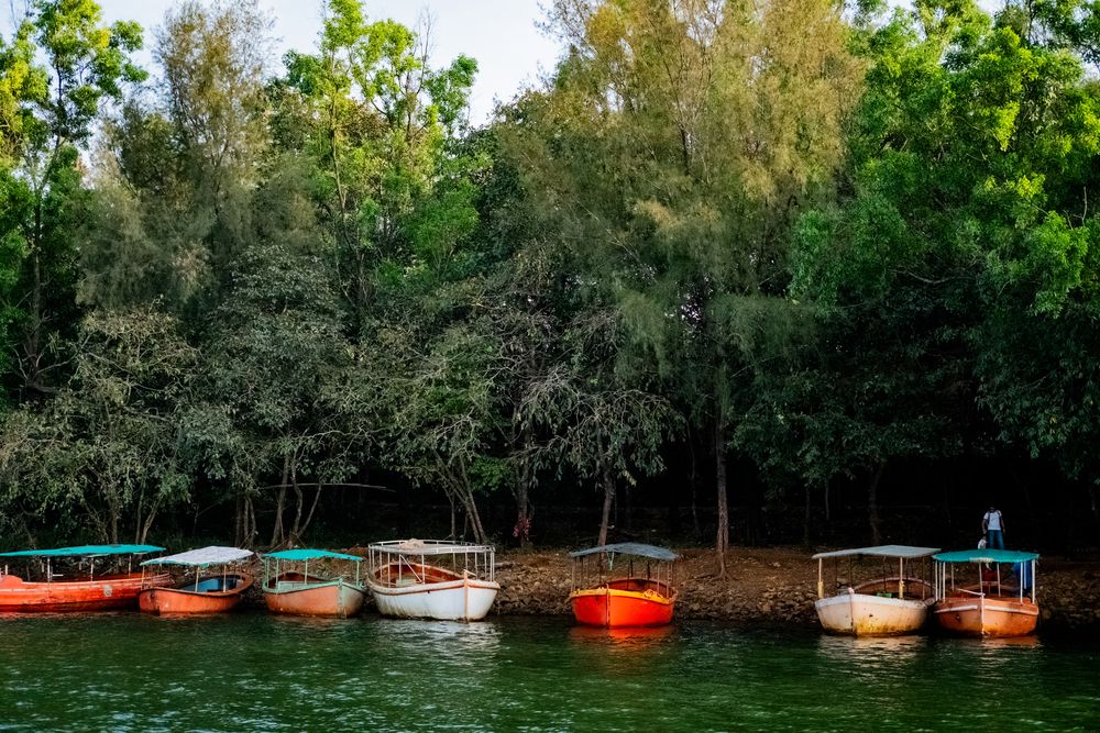 Photograph by Bharat Sonawane