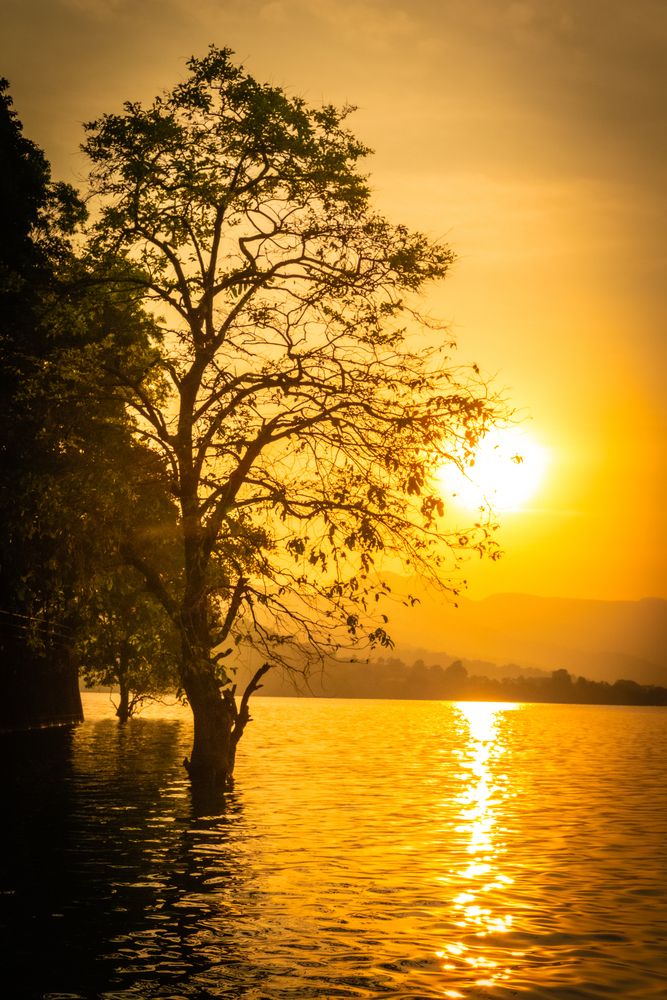 Photograph by Bharat Sonawane