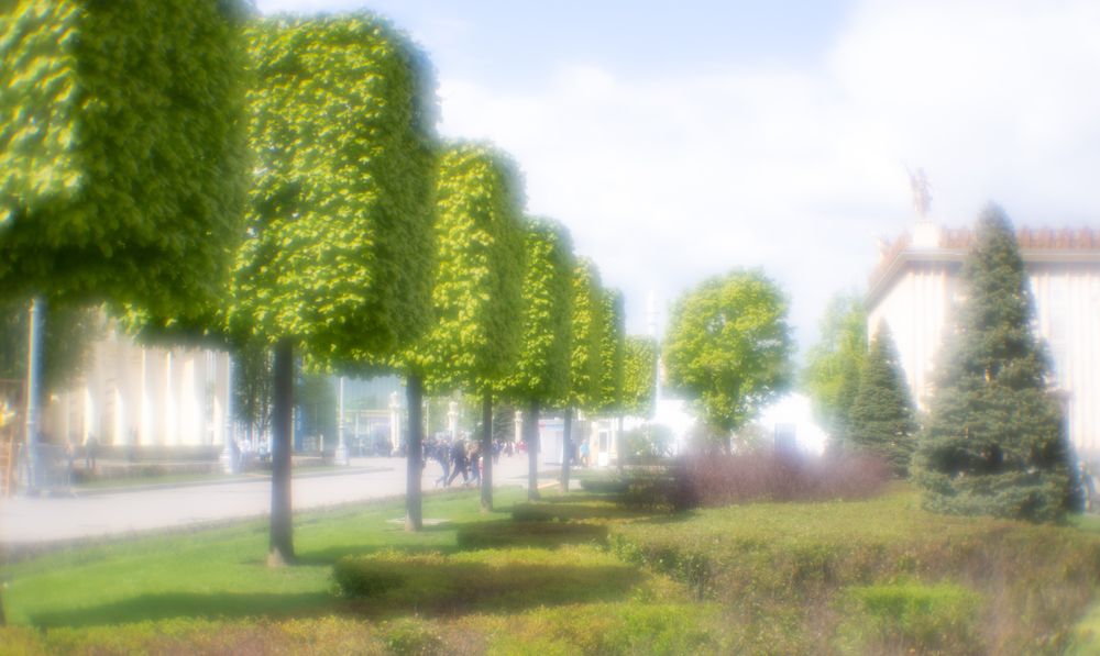 Фотография автора Николай Майоров